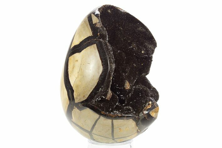 Septarian Dragon Egg Geode - Sparkly Black Crystals #329493